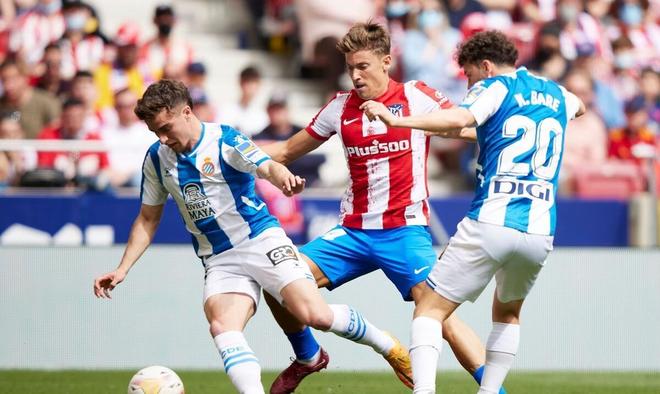 克洛普也多 克洛普也多